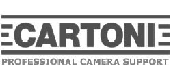 Cartoni gry