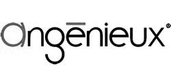 angenieux 01